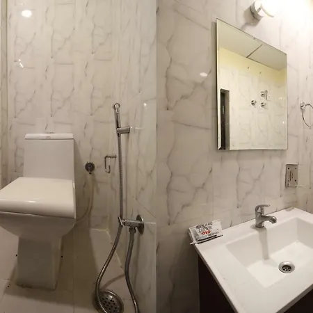 Hotel Oyo Flagship 41002 Vijay Palace Sws 3*